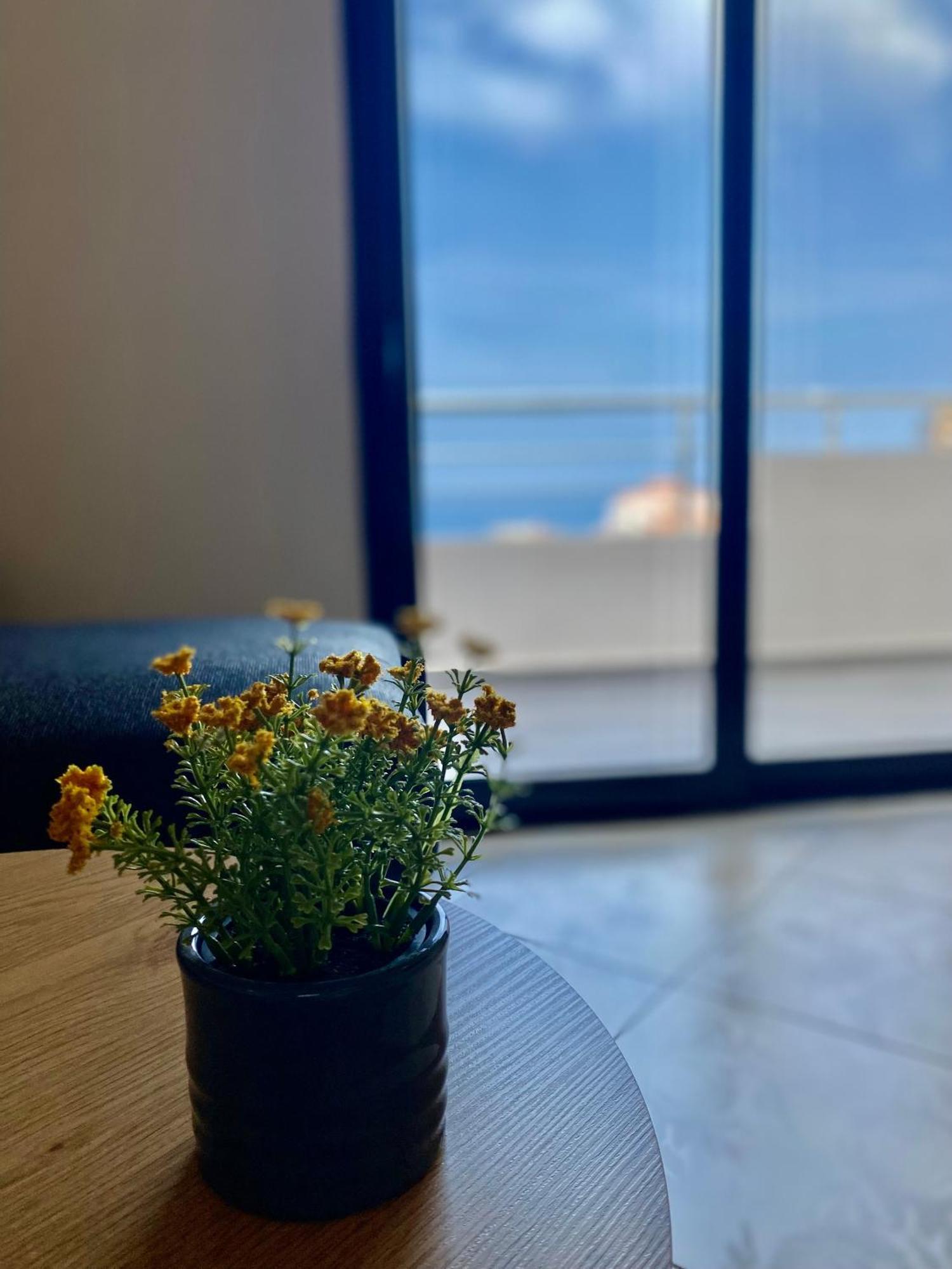 Fimi Apartments 乌尔齐尼 外观 照片